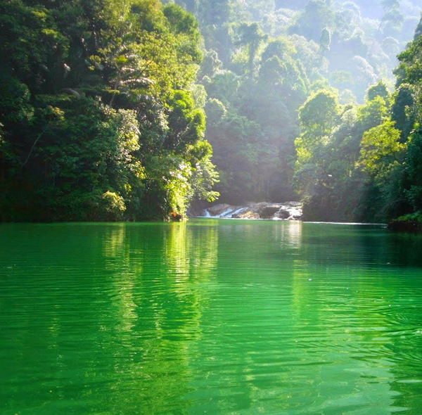 starlink sewa tasik kenyir